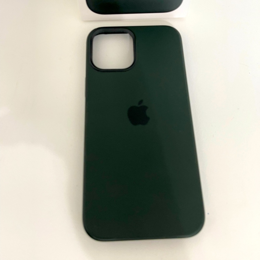 Case iPhone 12 Pro Max